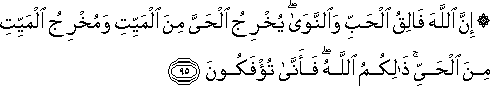 إِنَّ اللَّهَ فَالِقُ الْحَبِّ وَالنَّوَىٰ ۖ يُخْرِجُ الْحَيَّ مِنَ الْمَيِّتِ وَمُخْرِجُ الْمَيِّتِ مِنَ الْحَيِّ ۚ ذَٰلِكُمُ اللَّهُ ۖ فَأَنَّىٰ تُؤْفَكُونَ