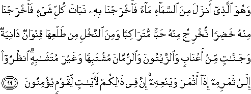 وَهُوَ الَّذِي أَنْزَلَ مِنَ السَّمَاءِ مَاءً فَأَخْرَجْنَا بِهِ نَبَاتَ كُلِّ شَيْءٍ فَأَخْرَجْنَا مِنْهُ خَضِرًا نُخْرِجُ مِنْهُ حَبًّا مُتَرَاكِبًا وَمِنَ النَّخْلِ مِنْ طَلْعِهَا قِنْوَانٌ دَانِيَةٌ وَجَنَّاتٍ مِنْ أَعْنَابٍ وَالزَّيْتُونَ وَالرُّمَّانَ مُشْتَبِهًا وَغَيْرَ مُتَشَابِهٍ ۗ انْظُرُوا إِلَىٰ ثَمَرِهِ إِذَا أَثْمَرَ وَيَنْعِهِ ۚ إِنَّ فِي ذَٰلِكُمْ لَآيَاتٍ لِقَوْمٍ يُؤْمِنُونَ