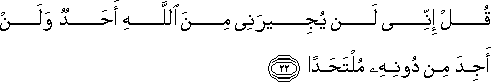 قُلْ إِنِّي لَنْ يُجِيرَنِي مِنَ اللَّهِ أَحَدٌ وَلَنْ أَجِدَ مِنْ دُونِهِ مُلْتَحَدًا