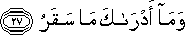 وَمَا أَدْرَاكَ مَا سَقَرُ