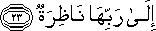 إِلَىٰ رَبِّهَا نَاظِرَةٌ