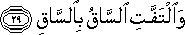 وَالْتَفَّتِ السَّاقُ بِالسَّاقِ