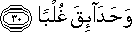 وَحَدَائِقَ غُلْبًا وَحَدَائِقَ غُلْبًا
