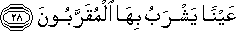 عَيْنًا يَشْرَبُ بِهَا الْمُقَرَّبُونَ عَيْنًا يَشْرَبُ بِهَا الْمُقَرَّبُونَ