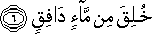 خُلِقَ مِنْ مَاءٍ دَافِقٍ خُلِقَ مِنْ مَاءٍ دَافِقٍ