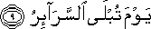 يَوْمَ تُبْلَى السَّرَائِرُ