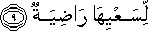 لِسَعْيِهَا رَاضِيَةٌ لِسَعْيِهَا رَاضِيَةٌ