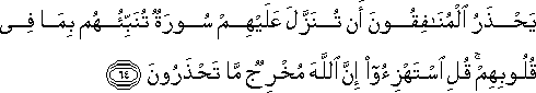 يَحْذَرُ الْمُنَافِقُونَ أَنْ تُنَزَّلَ عَلَيْهِمْ سُورَةٌ تُنَبِّئُهُمْ بِمَا فِي قُلُوبِهِمْ ۚ قُلِ اسْتَهْزِئُوا إِنَّ اللَّهَ مُخْرِجٌ مَا تَحْذَرُونَ