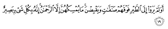 Αποτέλεσμα εικόνας για bird ayat in quran